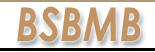 www.bsbmb.org